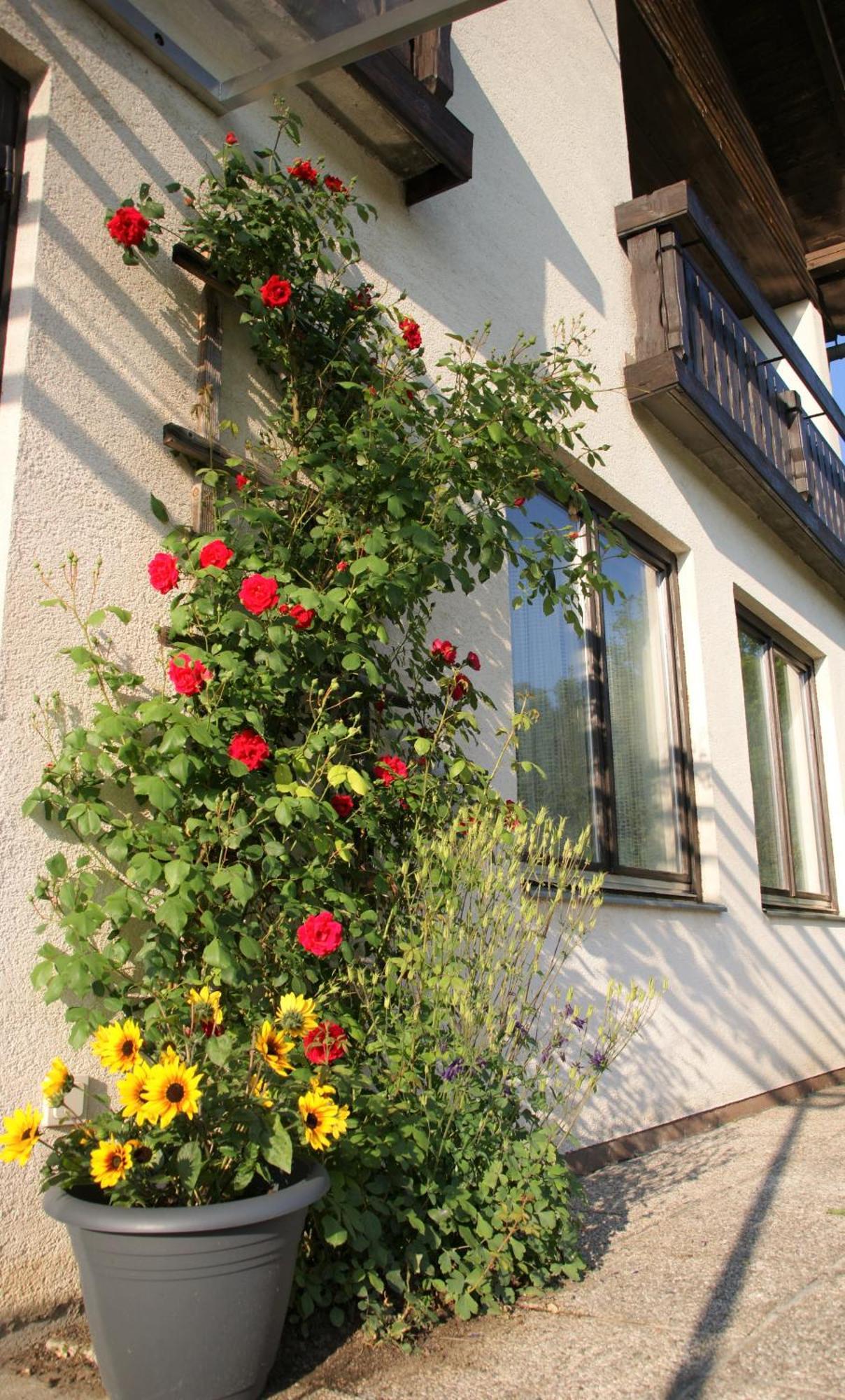 Pension Tschische St. Kanzian am Klopeiner See Exterior foto